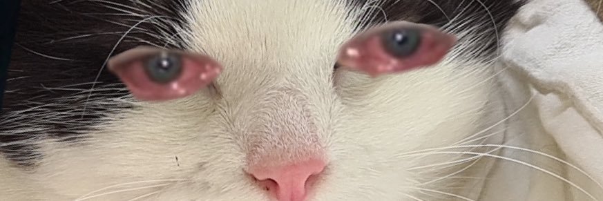sayreck2's profile banner image