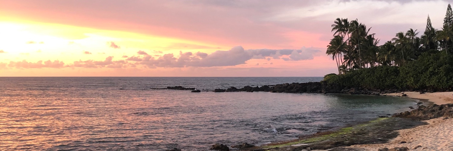 SC_Mulherin's profile banner image