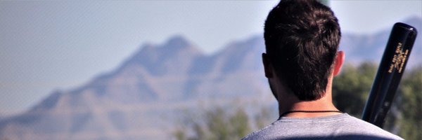 CubsDen Profile Banner