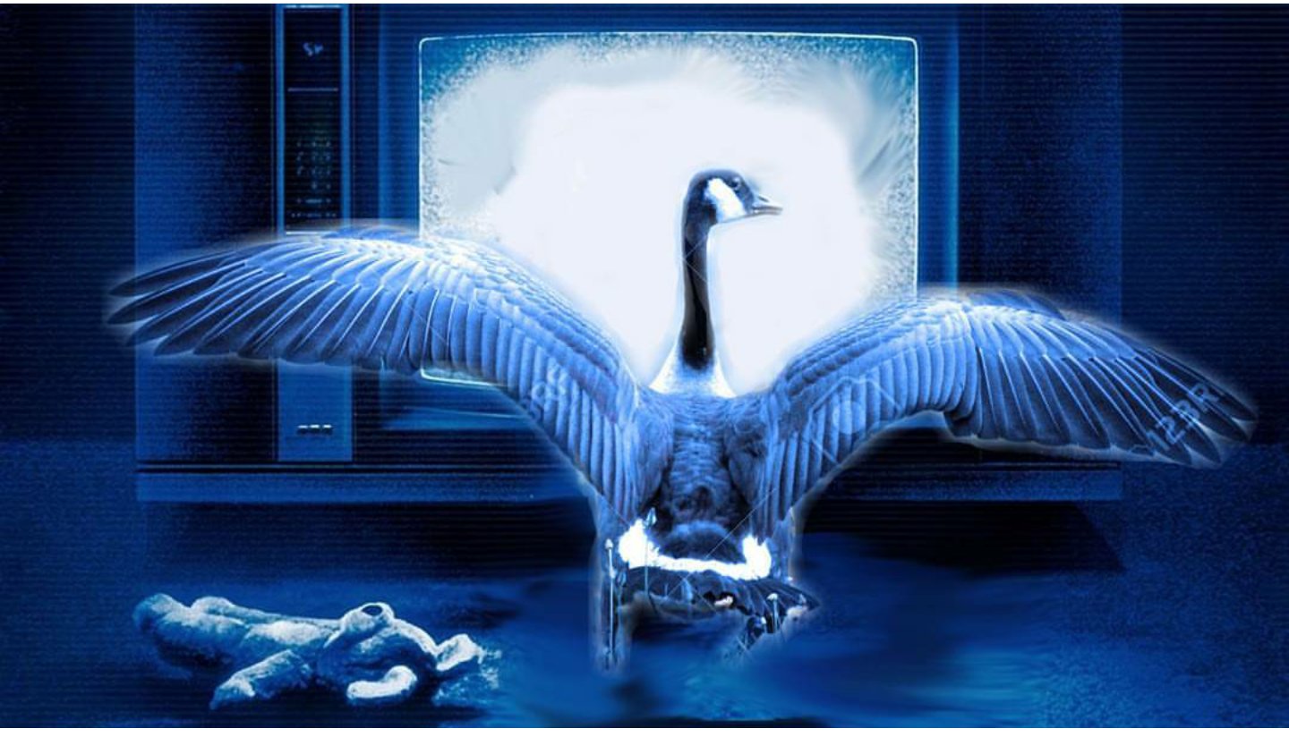 PoIterGoose's profile banner image