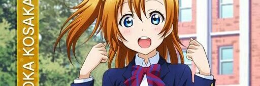 ani2014a's profile banner image
