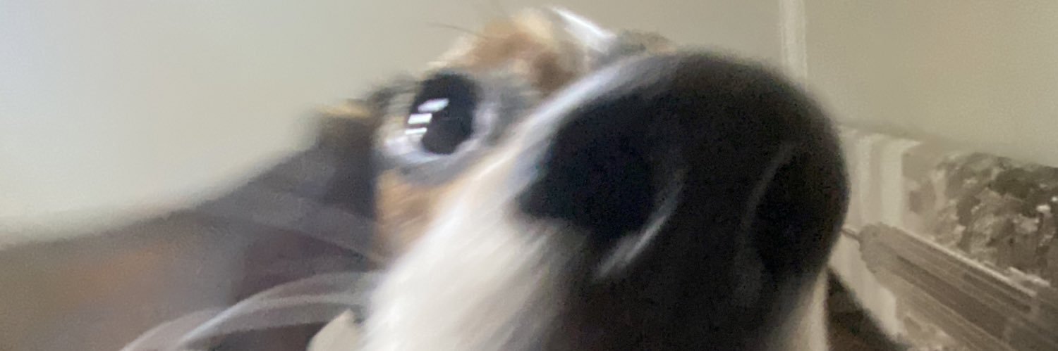wavism's profile banner image