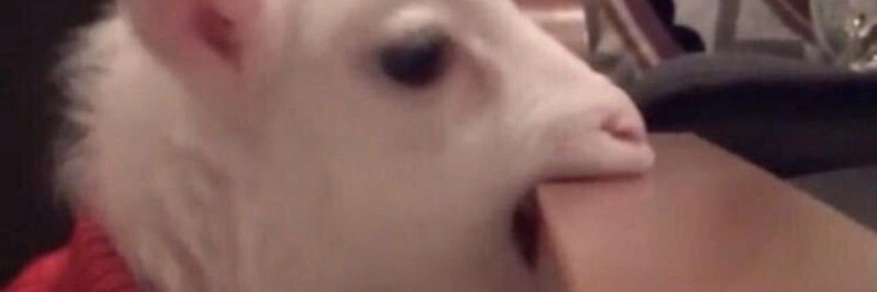 tayaplayaa's profile banner image