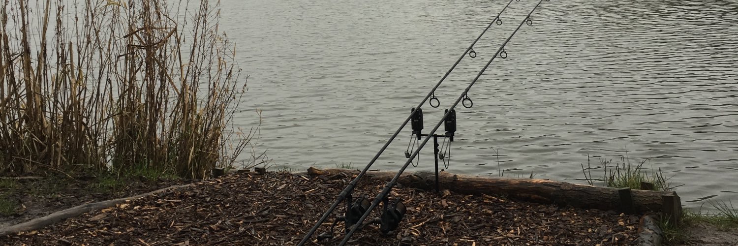 itscatchingcarp's profile banner image