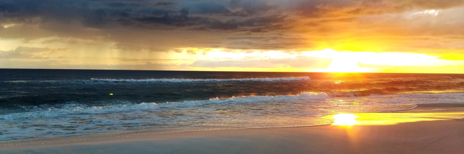skunksublime's profile banner image