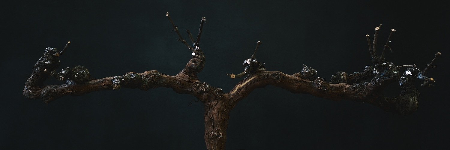 MattMorrisFilms's profile banner image