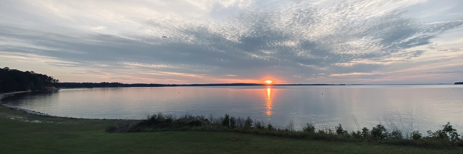 Bob N. Vagene banner