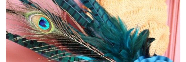 OaNaSe's profile banner image