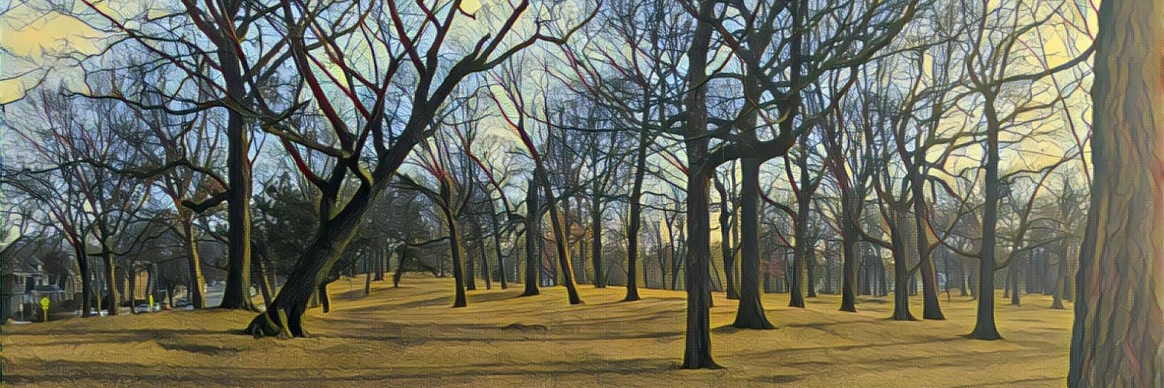 Joy Powers 📻 banner