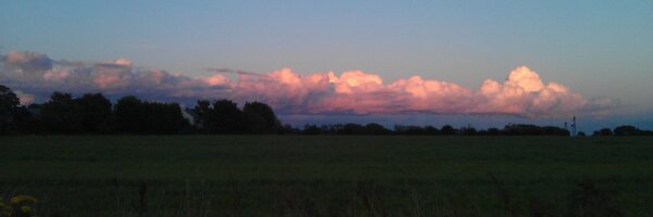 AnnaRobPharm Profile Banner