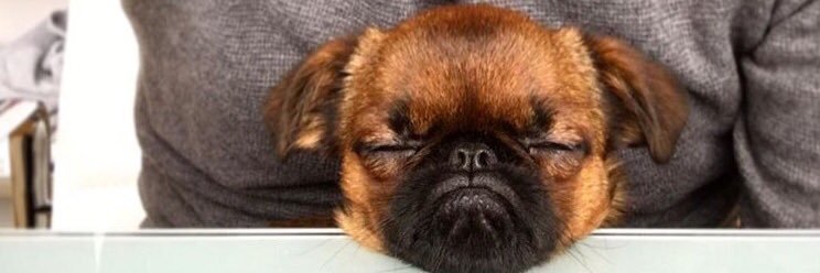ellieharmon1's profile banner image