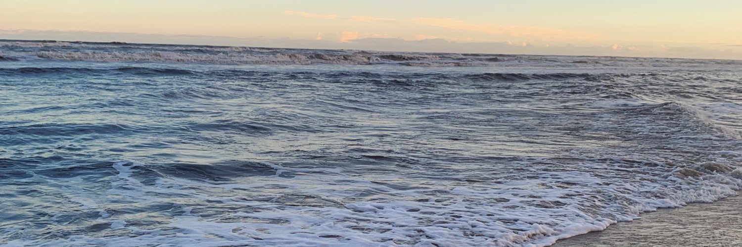 luisaserranoo1's profile banner image