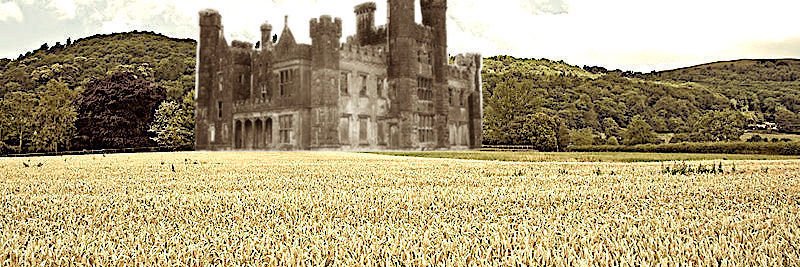 David Blaska banner
