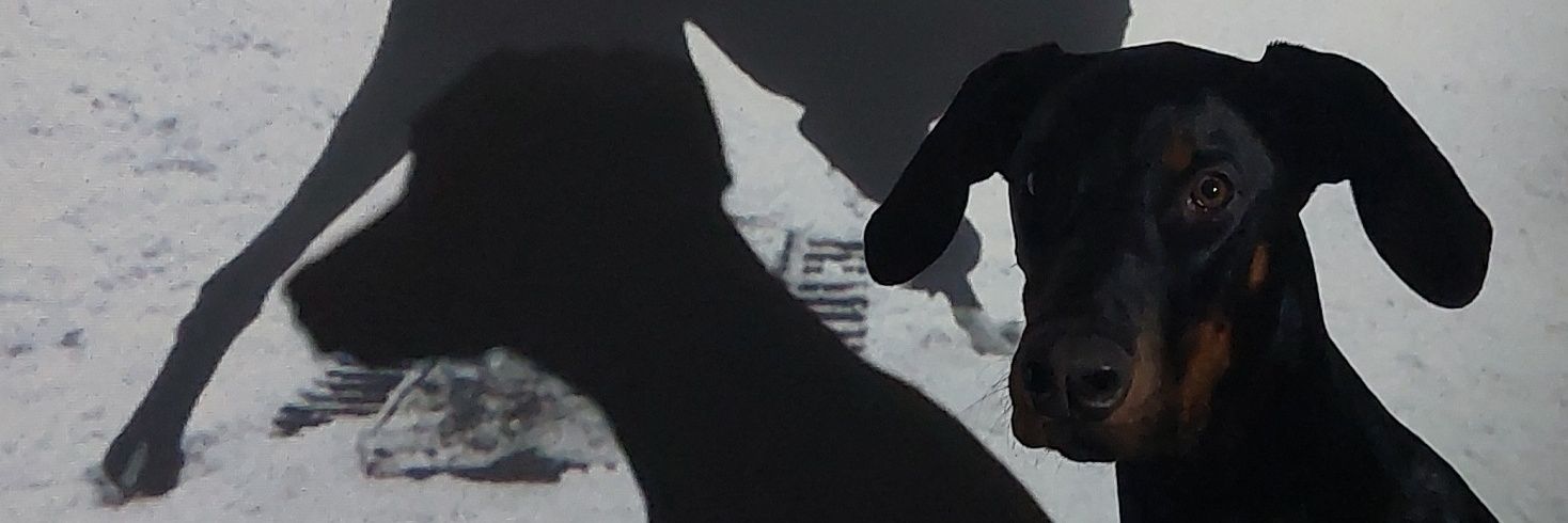 lukmns's profile banner image
