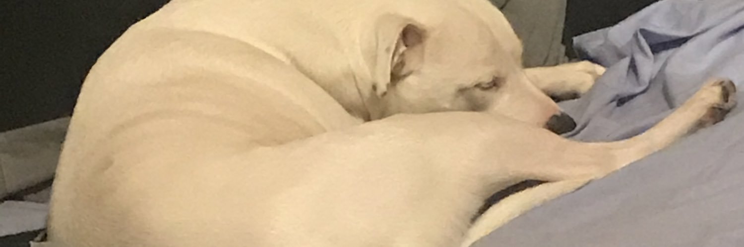 cotim8's profile banner image