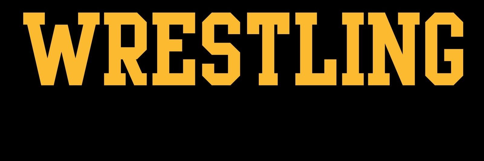 ErikStroner's profile banner image