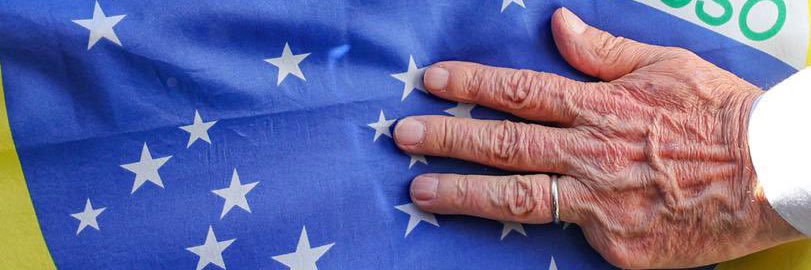 Stella de Mendonça banner