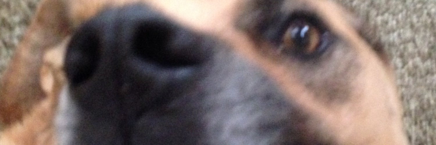 i banner