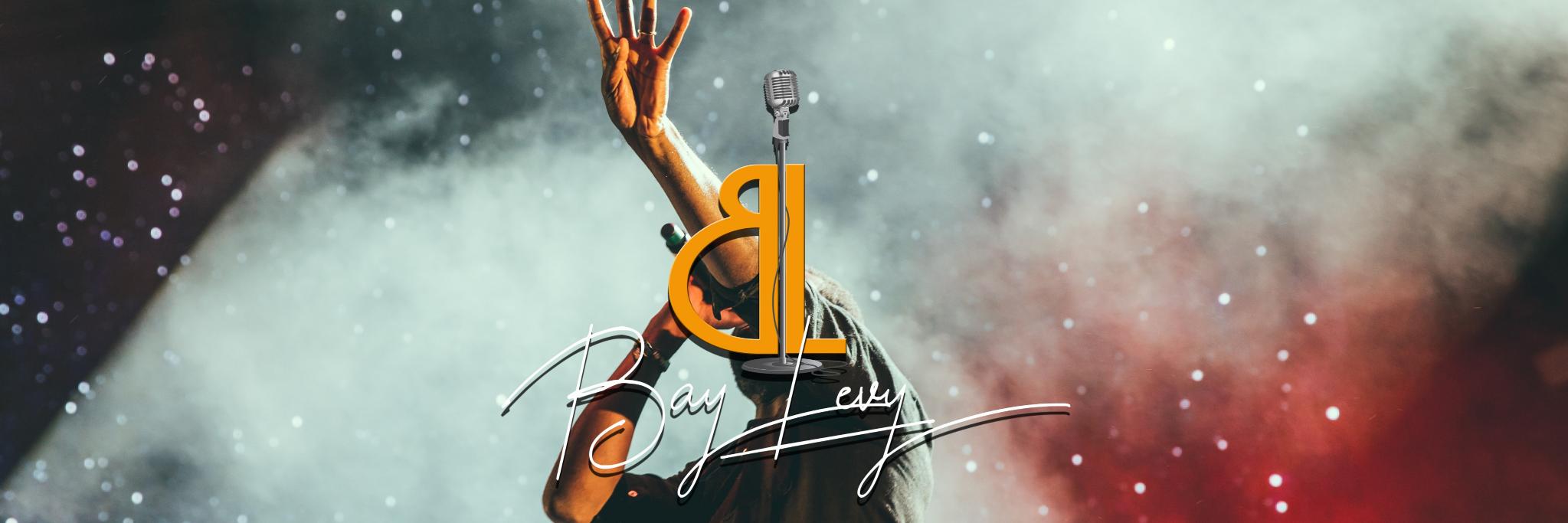 BayLevy's profile banner image