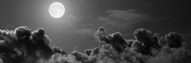 pardo0328's profile banner image