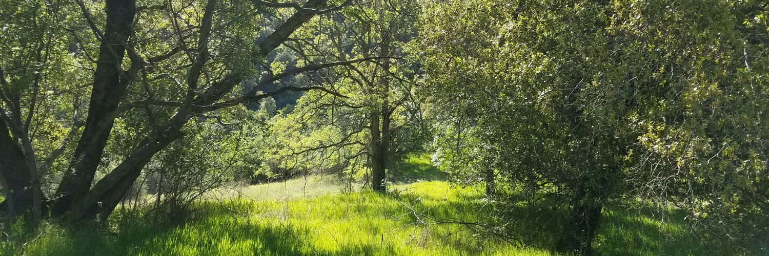 Kathleen S Evenhouse banner