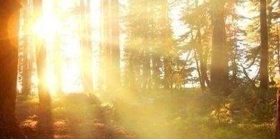 KateChertkova27's profile banner image