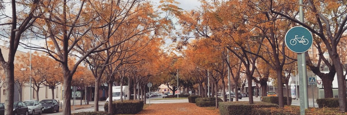 Atemloss's profile banner image