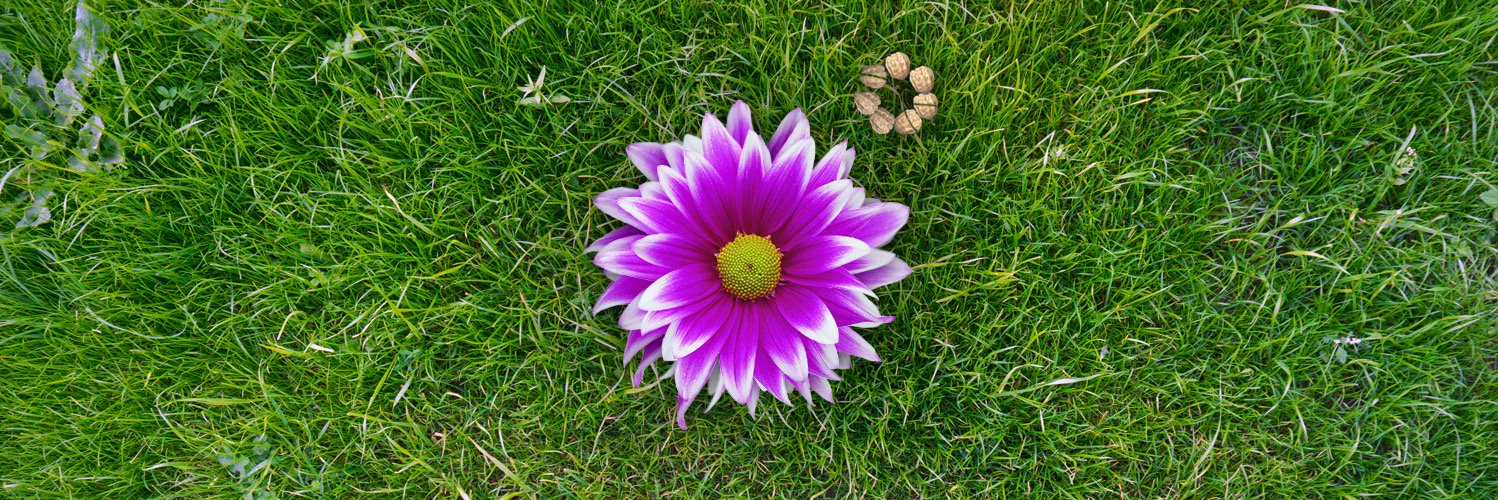 Atmosphere Proximity banner