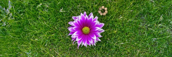 AtmoProx Profile Banner