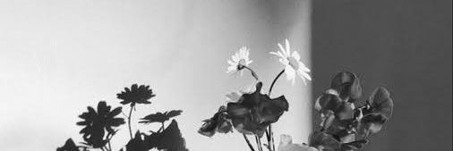 ttzeitel's profile banner image