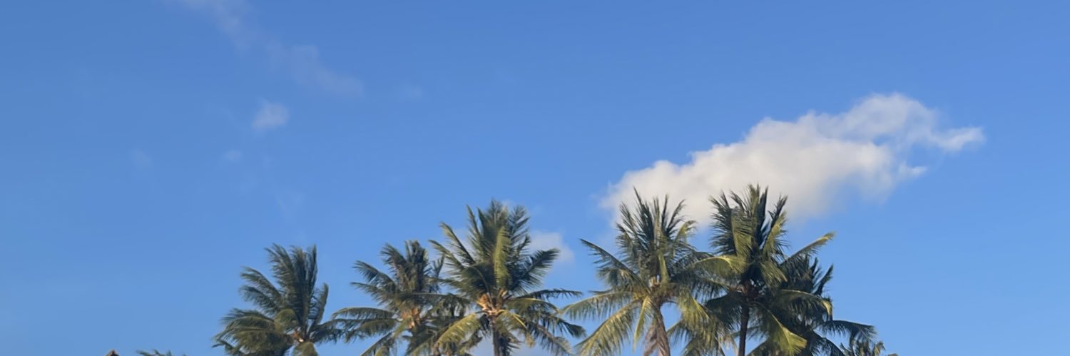 idreyeaaah's profile banner image