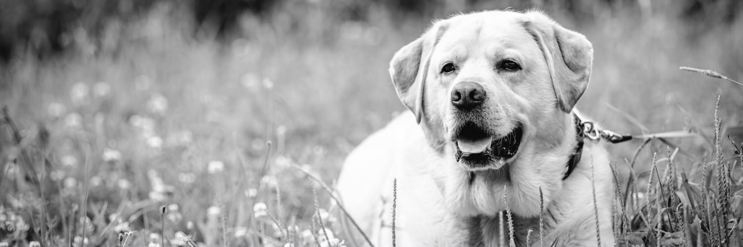 Heather Prusak banner