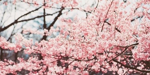 _JustBe_'s profile banner image