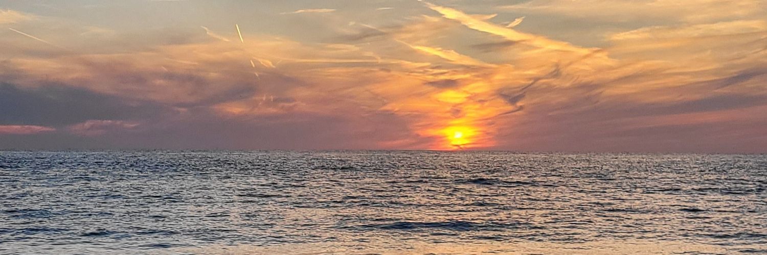 evilbuf's profile banner image