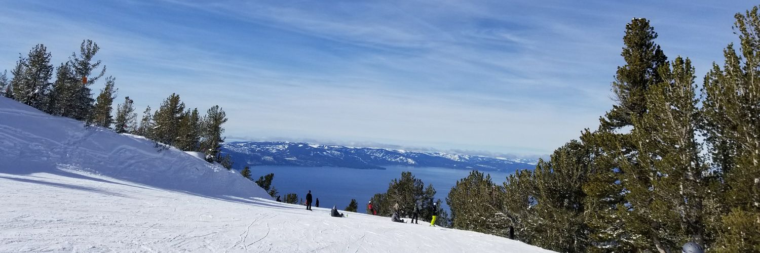 wvanhest's profile banner image