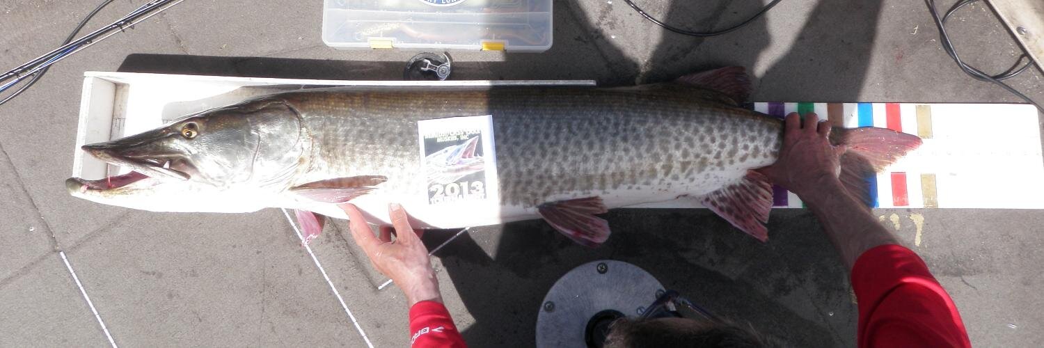 BigWoodMusky's profile banner image