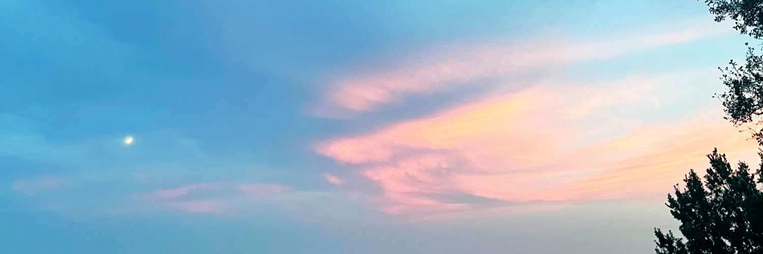 fearlessLfreak's profile banner image
