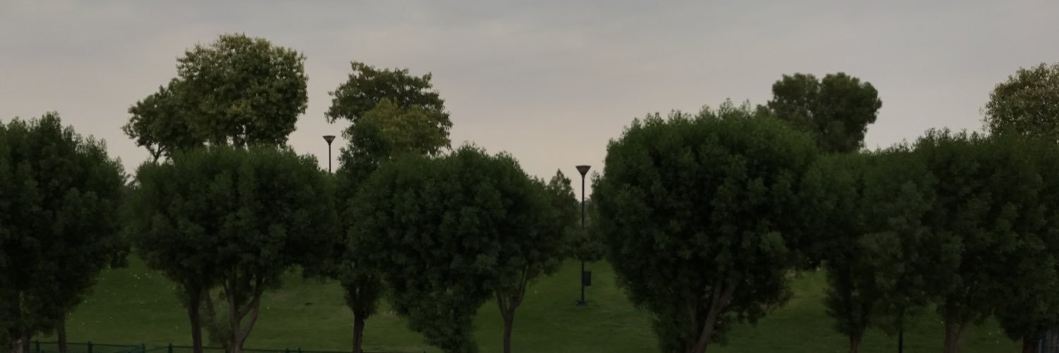 roaa336's profile banner image