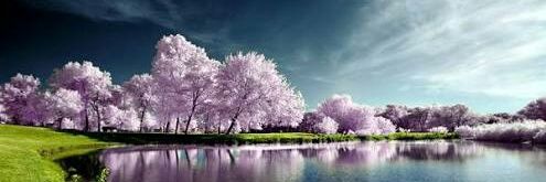 desifirmaa's profile banner image