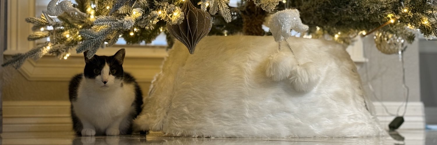 Daniel 👍🏼 banner