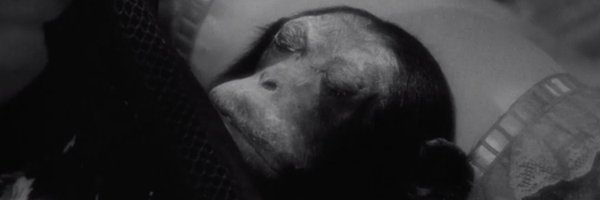 dan___black Profile Banner