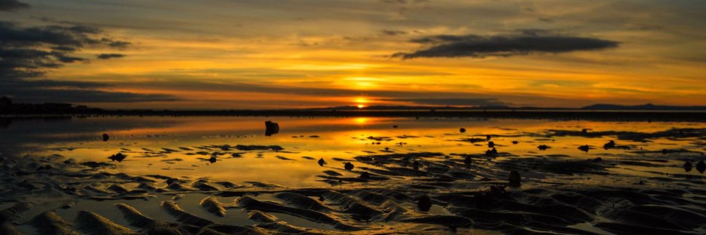 Liesbethtu's profile banner image