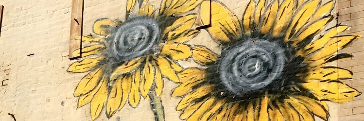 lisa_crivelli's profile banner image