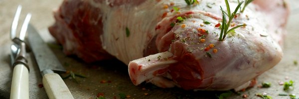 thoroughlywild Profile Banner