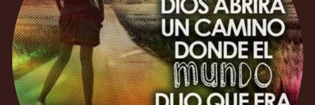 andreabernal82's profile banner image