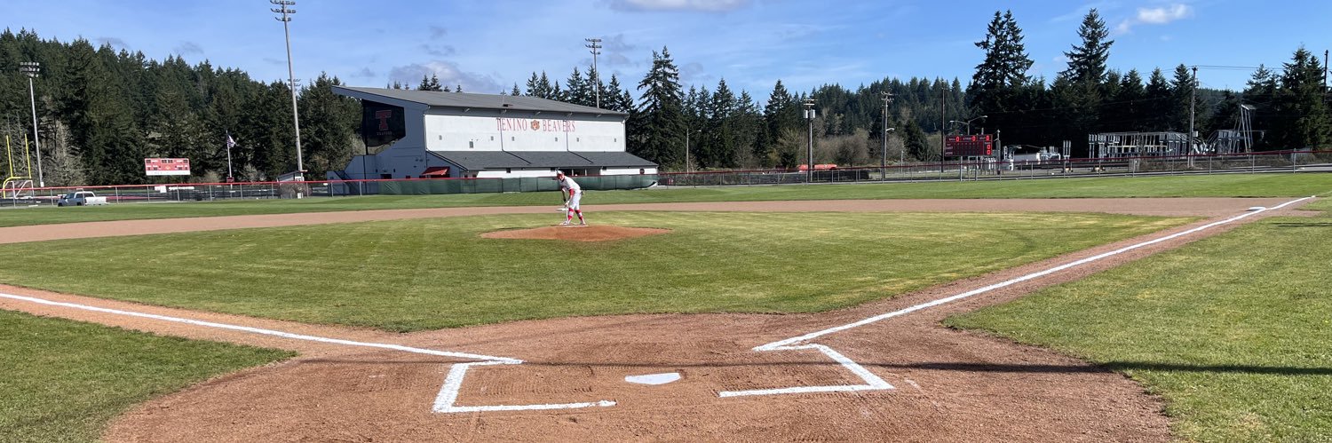 Tenino Baseball banner