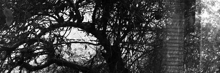 annembelen's profile banner image