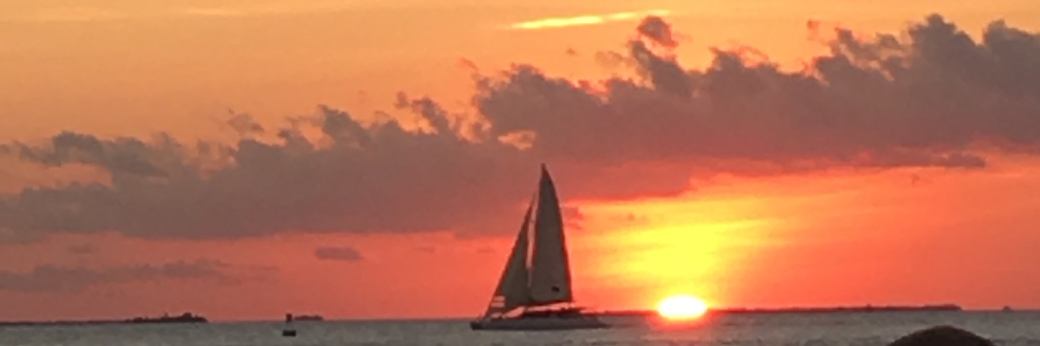 pacrodeo's profile banner image