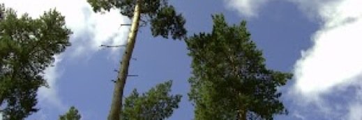 FOTF.ORG.UK banner