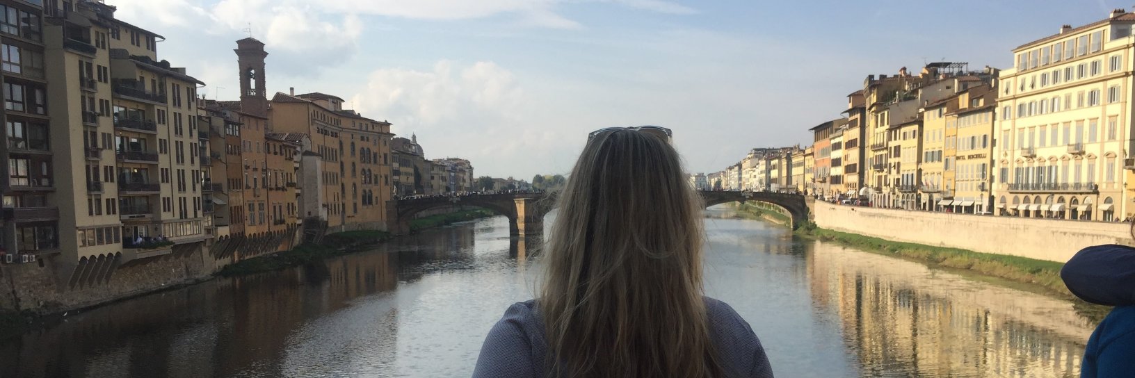 AFoxintheWild's profile banner image
